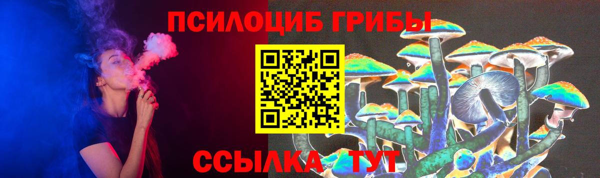 Ирбит  Галлюциногенные грибы прущие грибы  Вход с VPN  Псилоцибиновые грибы мицелий 